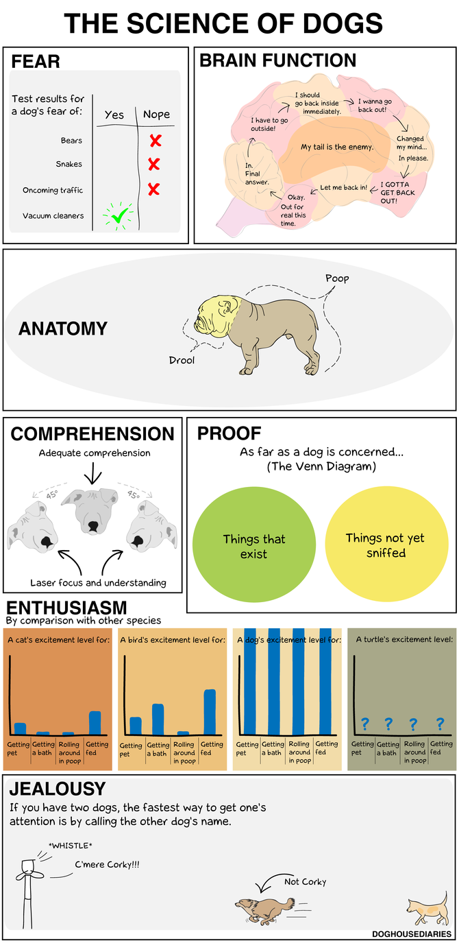 doghouse-20121024-300-2qdy61.png