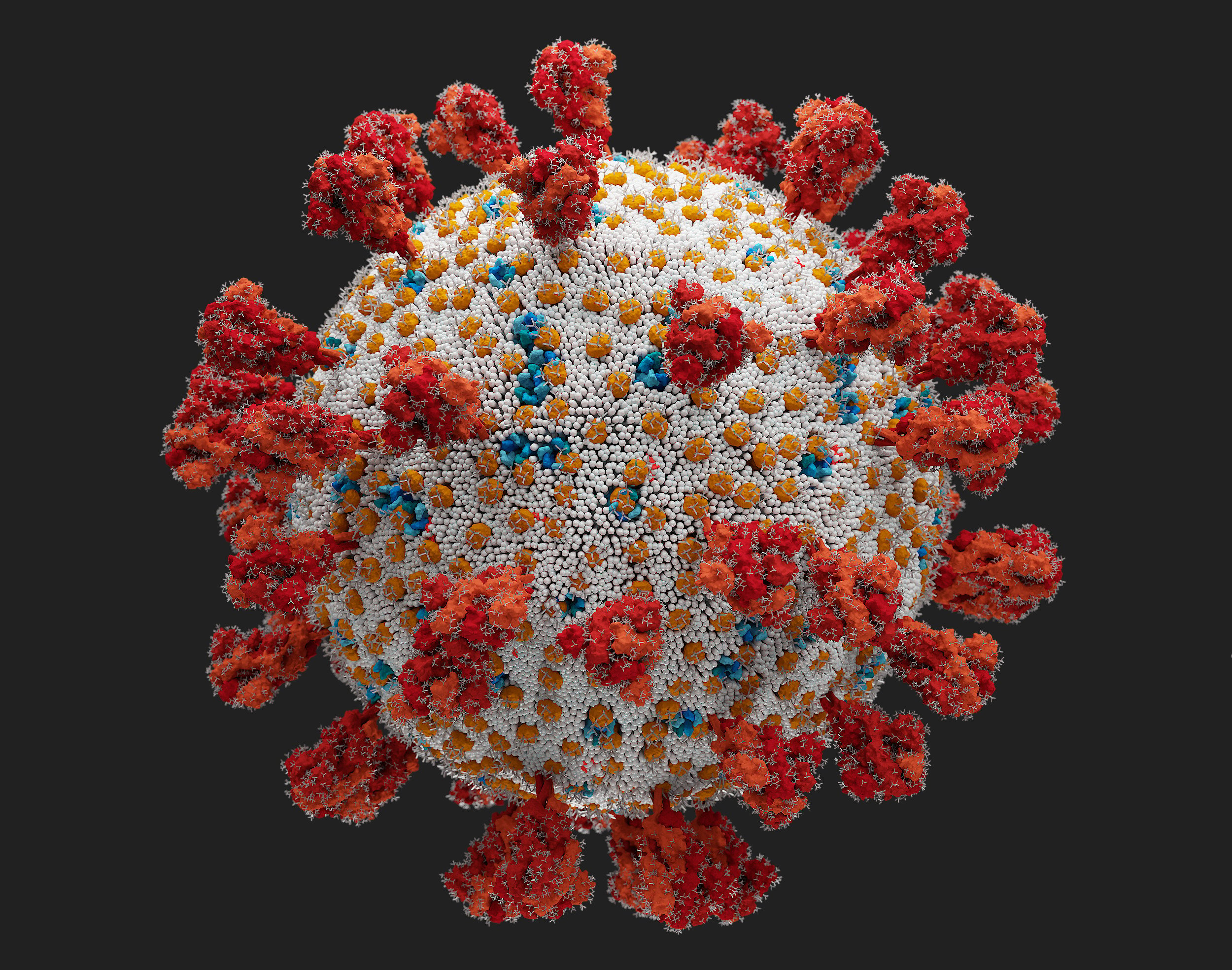 Вирус SARS-cov. Coronavirus 3d. Коронавирус SARS-cov-2. Модель вируса ковид SARS-cov-2.