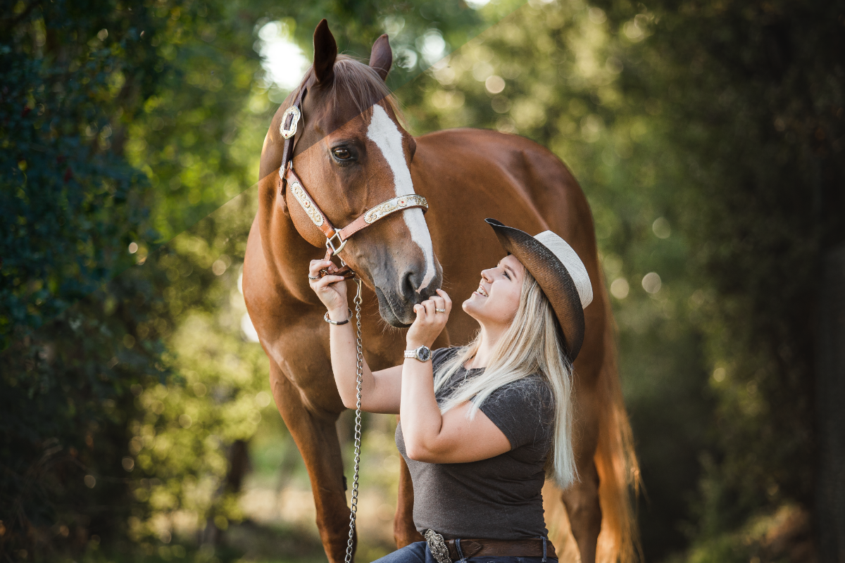 10 Equine Photography Presets for Lightroom and