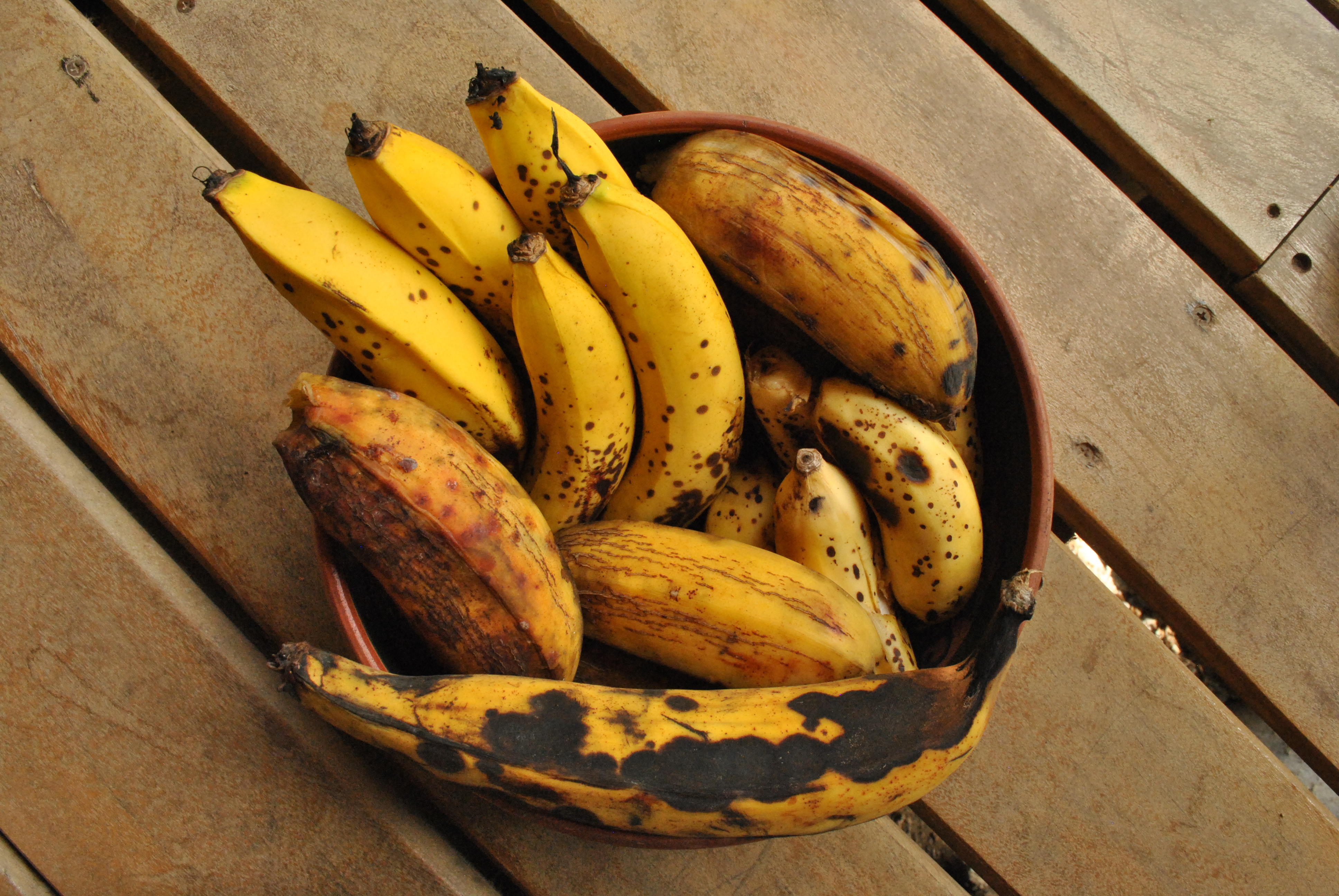 The Little Banana Book - A Practical Guide To Buying, Storing, Ripening
